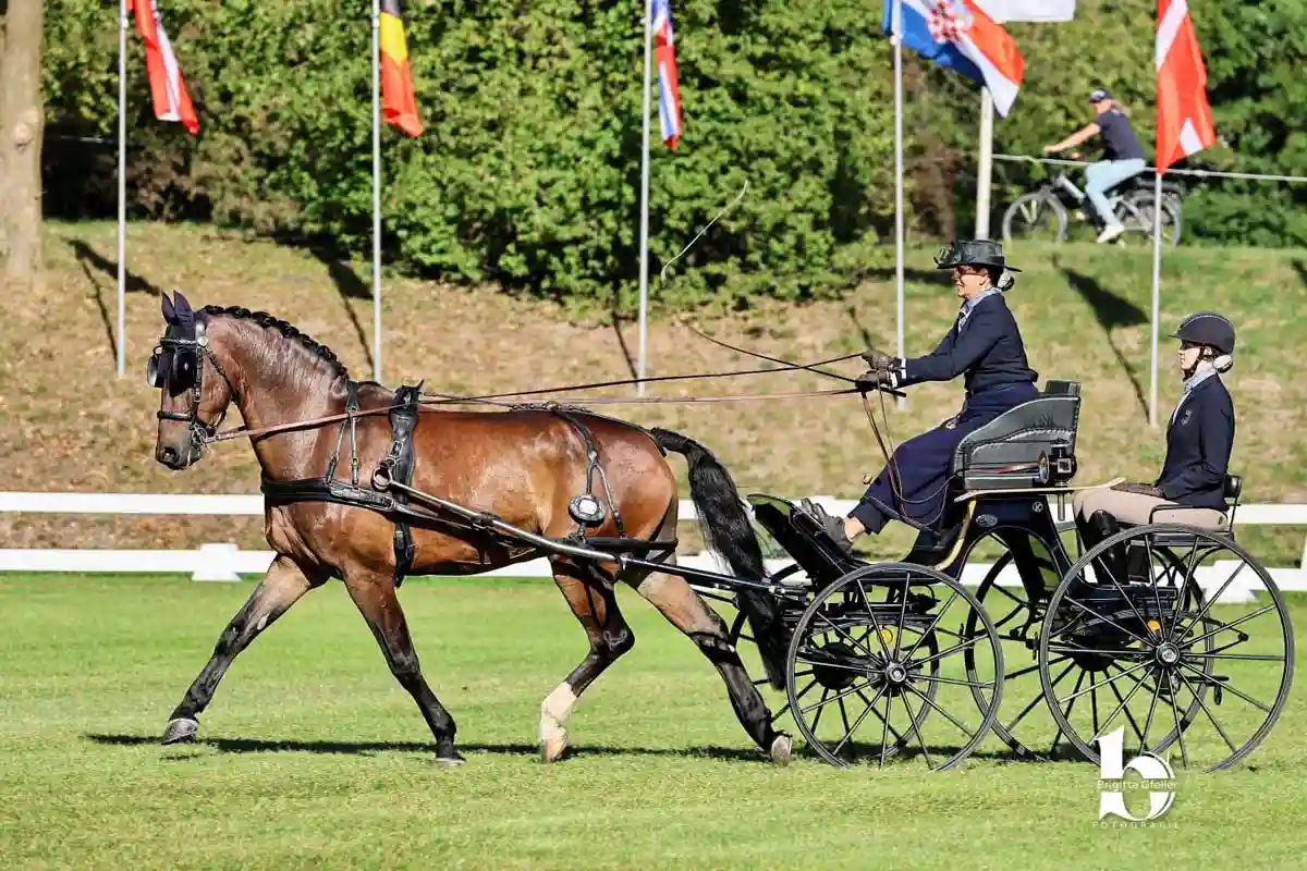Deutsches Team