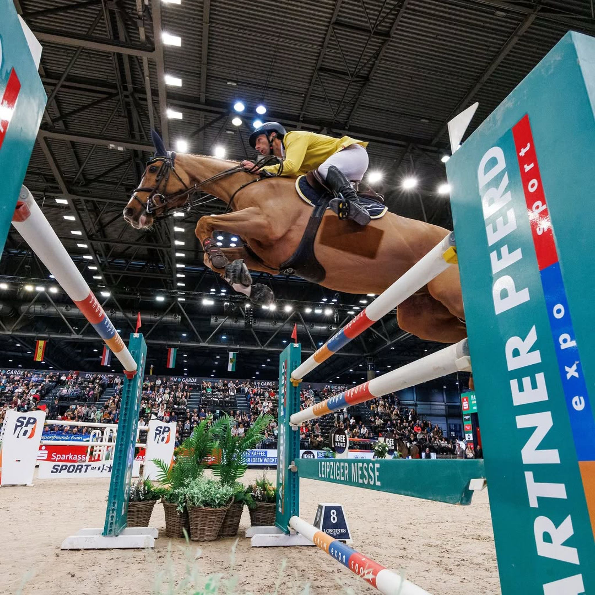 Yuri Mansur and Vitiki: a Triumph of resilience at the CS5 -W in Leipzig