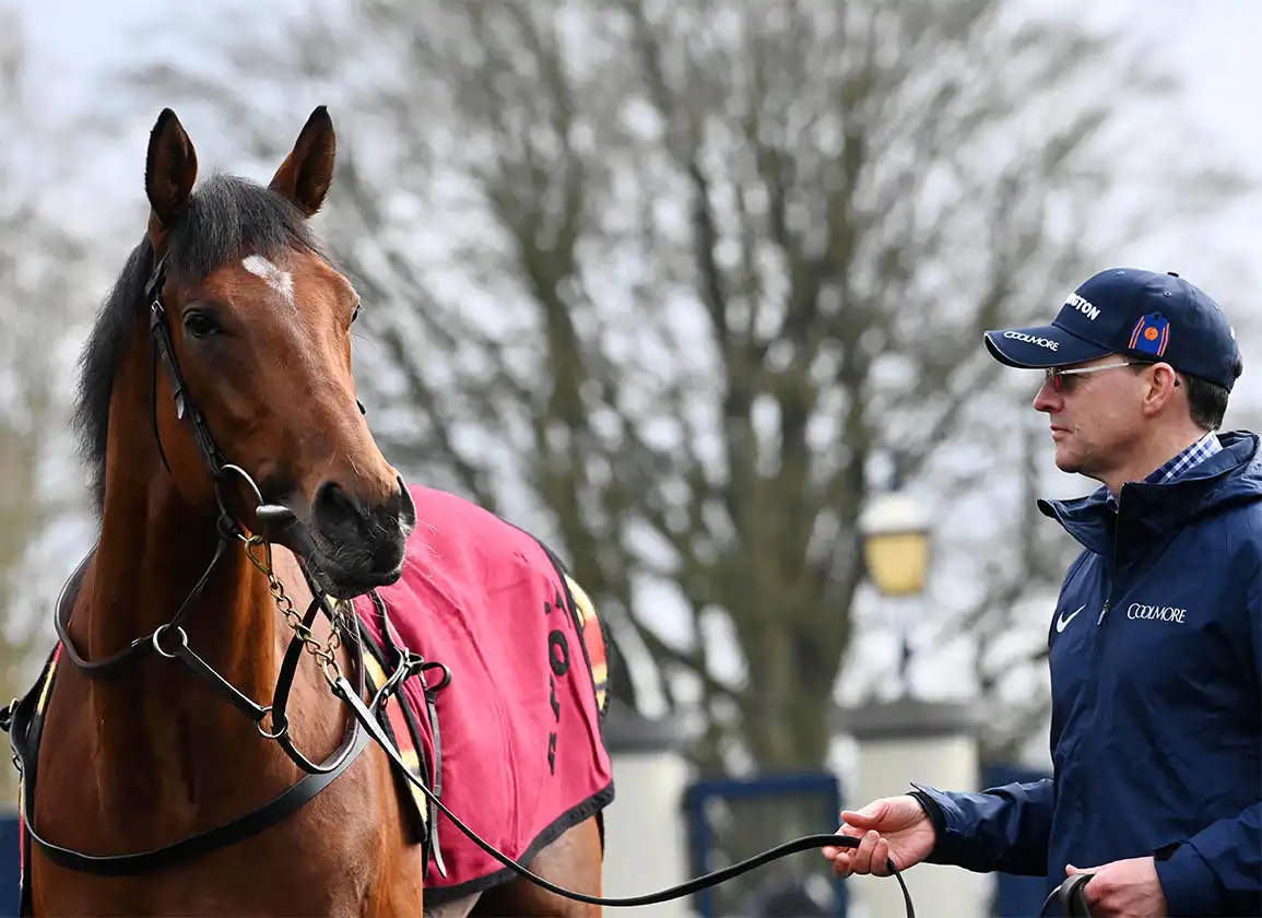Aidan O'Brien