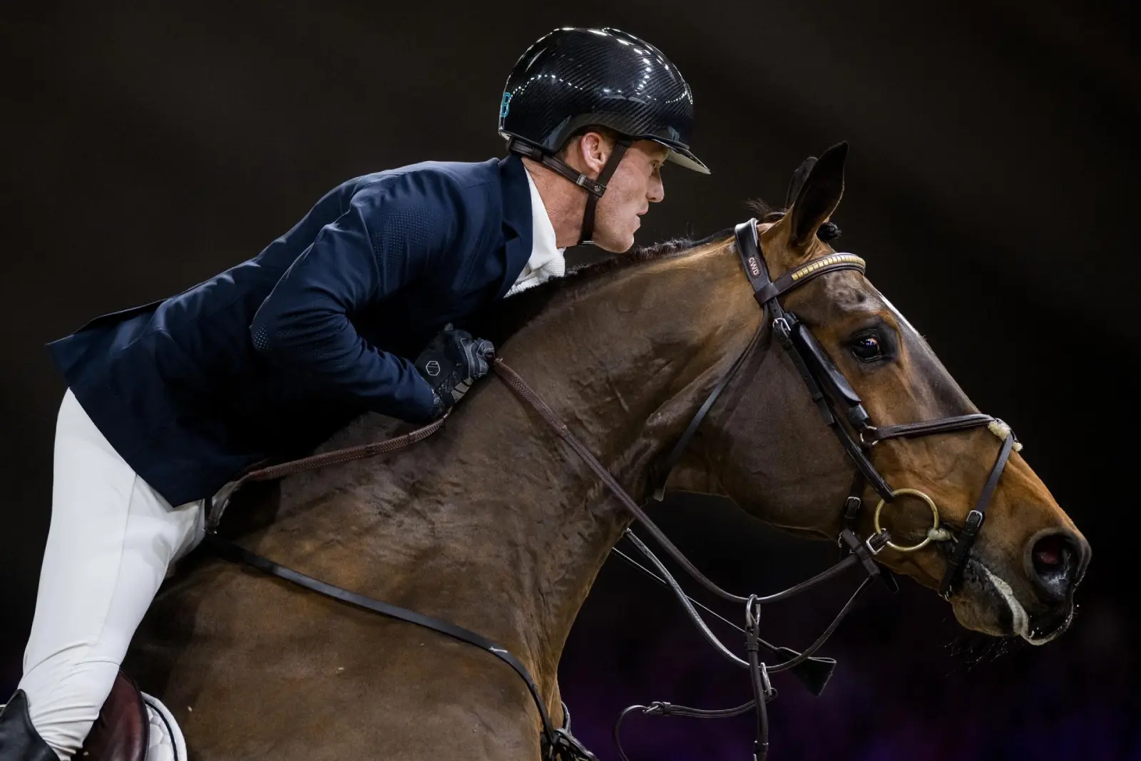 Jérôme Guéry en grande forme avec Quito de Mariposa