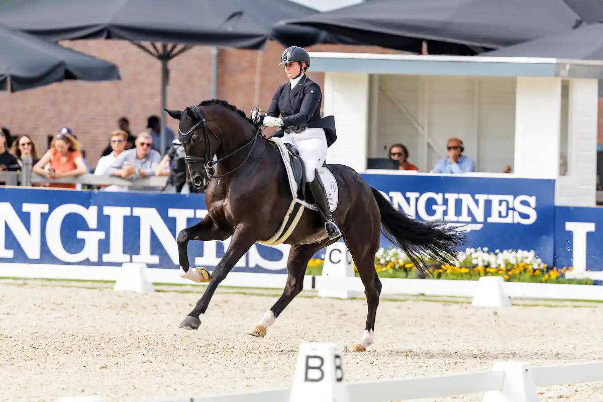 Münster: Evelyn Eger gewinnt den Grand Prix Special – Isabell Werth feiert Quantaz-Comeback