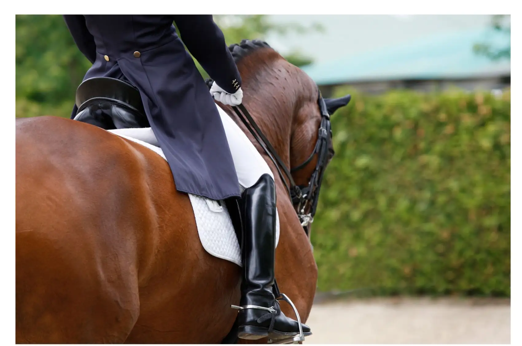 Dressage 2027, la FEI presenta le nuove riprese