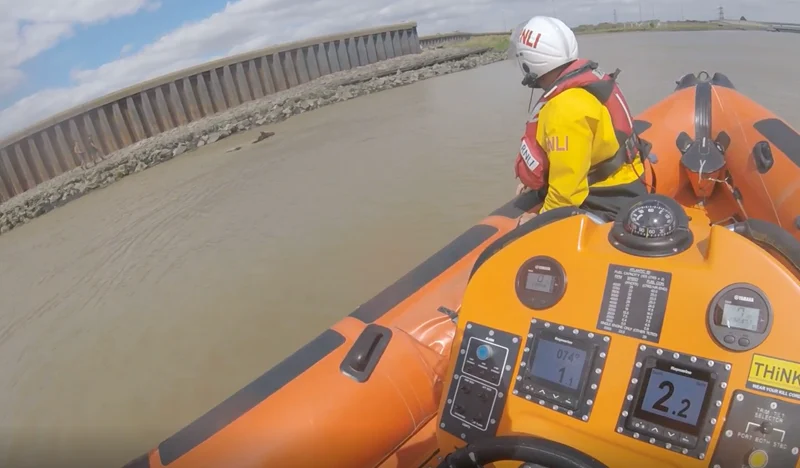 L’équipage de la RNLI de Gravesend aide à secourir un cheval sur l’estran de la Tamise