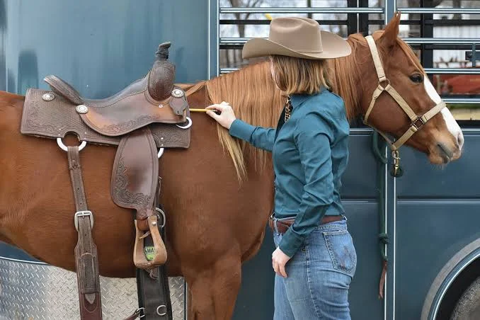 Come trovare la calzata corretta della sella per il tuo cavallo