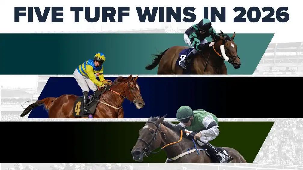 Un vétéran de 11 ans toujours performant et un ancien Juddmonte engagé dans une course de Groupe 1 : quels sont les trois chevaux ayant remporté cinq courses sur gazon cette saison ?