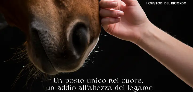 L’ultimo saluto al proprio cavallo