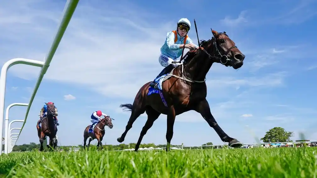 Middleham Park Racing trauert um Derby-Zweiten Lazy Griff