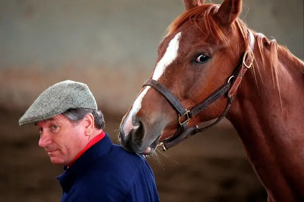 Un œil aiguisé pour les chevaux de race