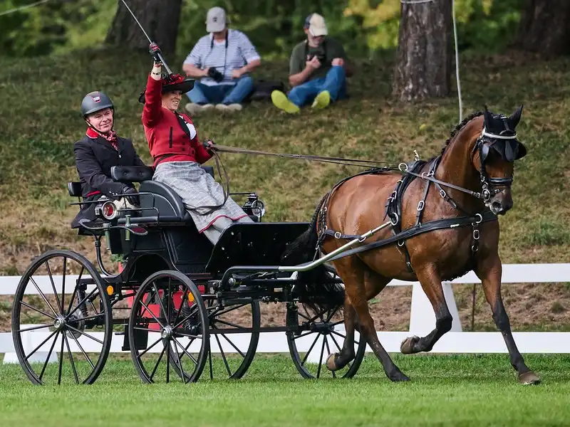 Deauville, Munich et Strzegom