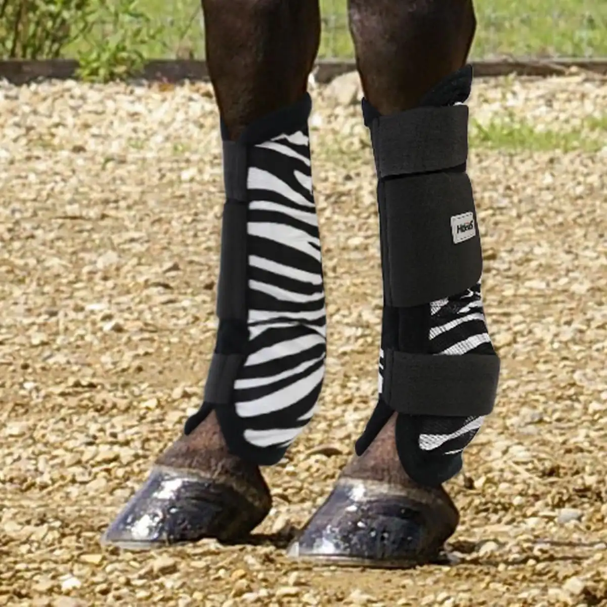 Stinchiere Antimosche Horses